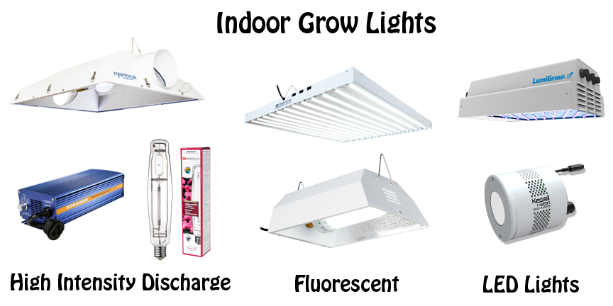 Indoor Grow Lights: Click Here to see them in our Store!