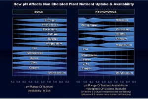 Plant & Vegtable pH Levels