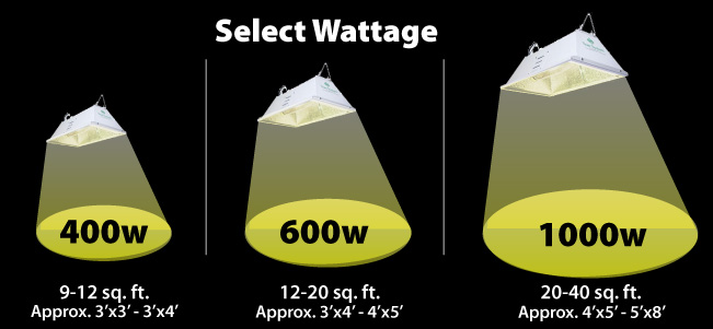 Wattage Calculator – How Much Light Should You Have?